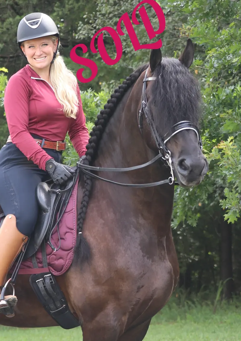 Armani Ster Premium Sport Bridle 1