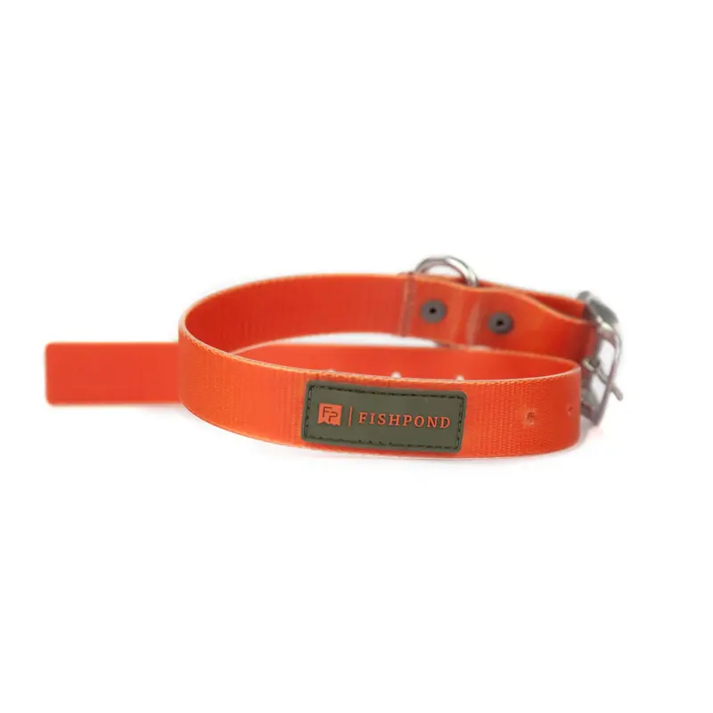 Fishpond Ember-Colored Reflective Dog Collar 1