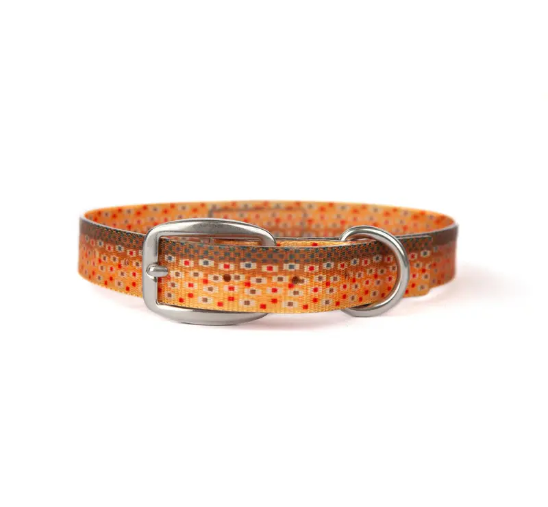 Fishpond Trucha-Colored Reflective Dog Collar 1