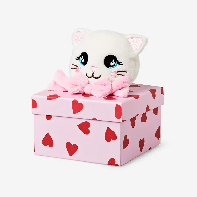 Gift Box With Soft Plush Cat Toy 1