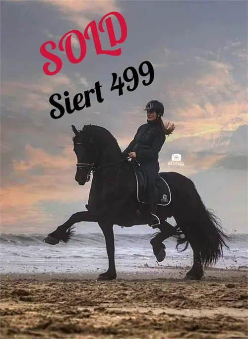Siert 499 Performance Sport Bridle 1
